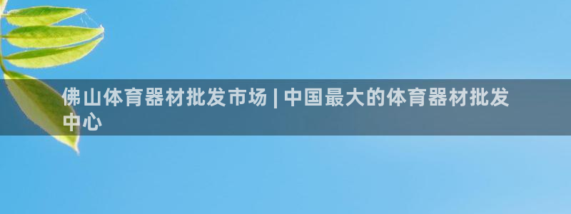 尊龙官网/首选kpm：佛山体育器材批发市场 | 中国