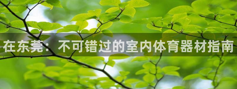 国际凯时ag优质运营商：在东莞：不可错过的室内体育器