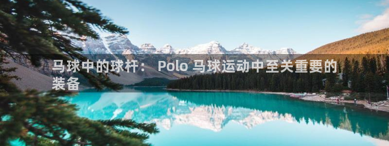 尊龙网站下分慢：马球中的球杆： Polo 马球运动中